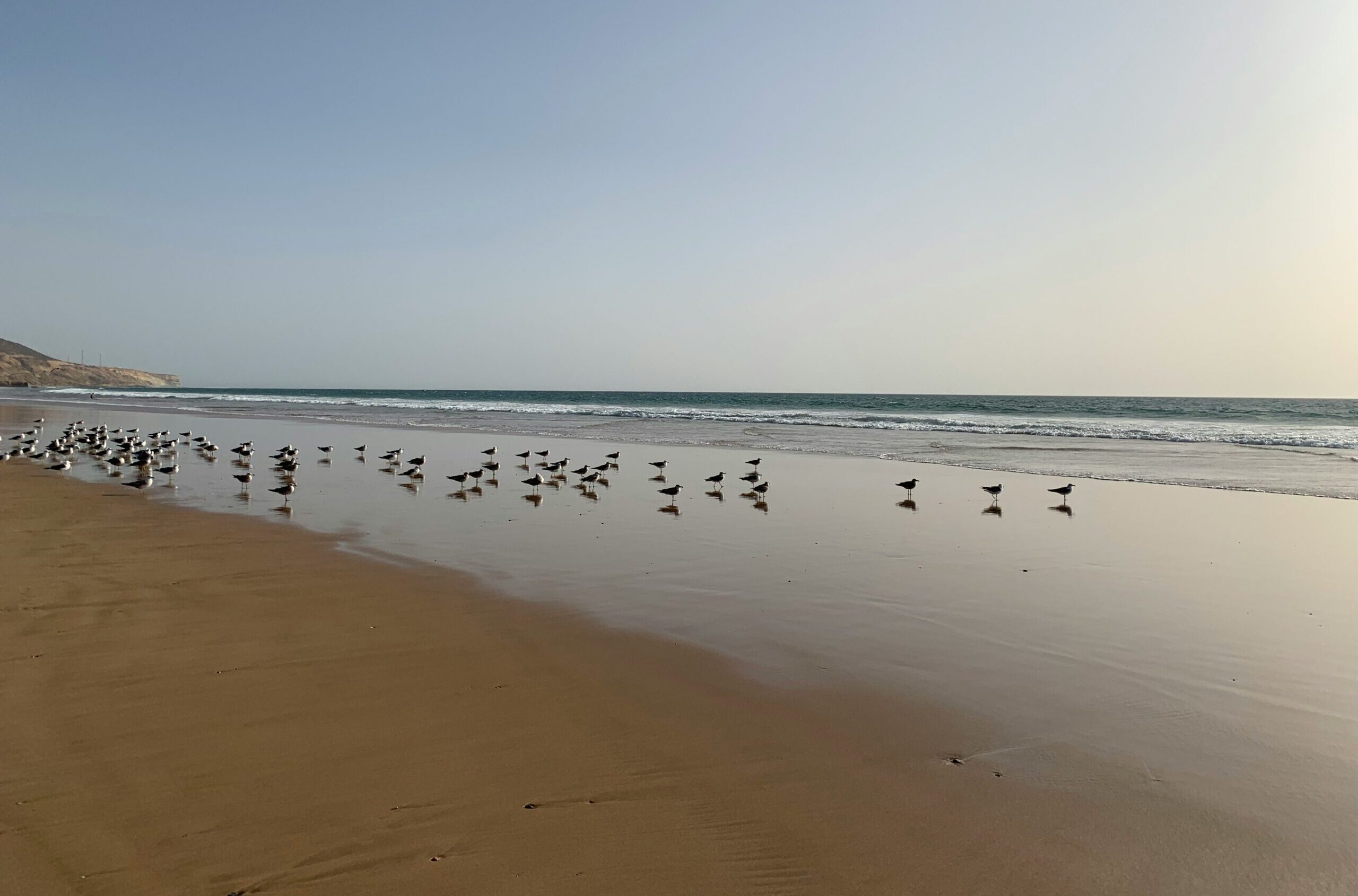 Plage d’Agadir au Maroc avec la promenade, les palmiers et l’océan Atlantique sous le soleil.